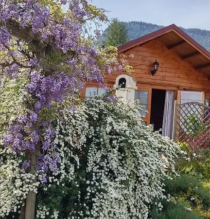 Holiday park Les Chalets De Pertuis Saint-Laurent-du-Pont